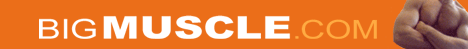 BigMuscle.com