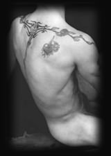 joey Des